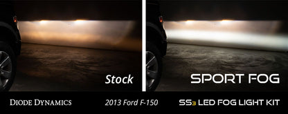 Diode Dynamics SS3 SAE Type FT Dodge/Ford/Toyota Fog Light Kit