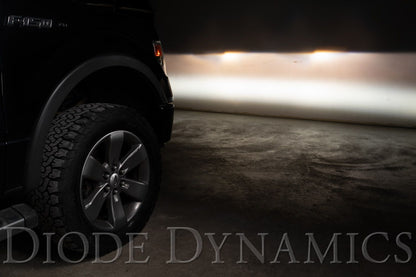Diode Dynamics SS3 SAE Type FT Dodge/Ford/Toyota Fog Light Kit