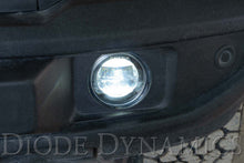 Elite Series Type A Fog Lamps for Ford (pair)