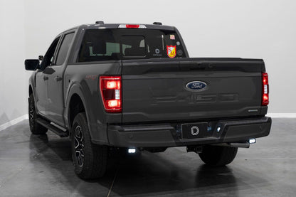 SPV Parts 2019-2023 Ford Super Duty Rear Diode Dynamics SS2 Series Reverse Light Kit (No Drill) Red Backlight Rear LED