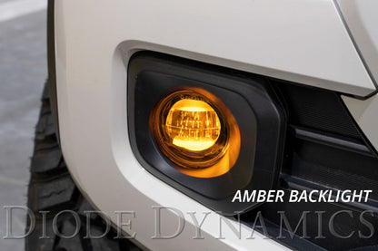 Elite Series Type B Fog Lamps For Lexus (Pair)