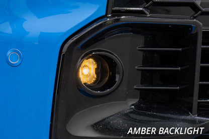 SSC1 SAE Type BM Fog Light Kit - Lexus / Toyota