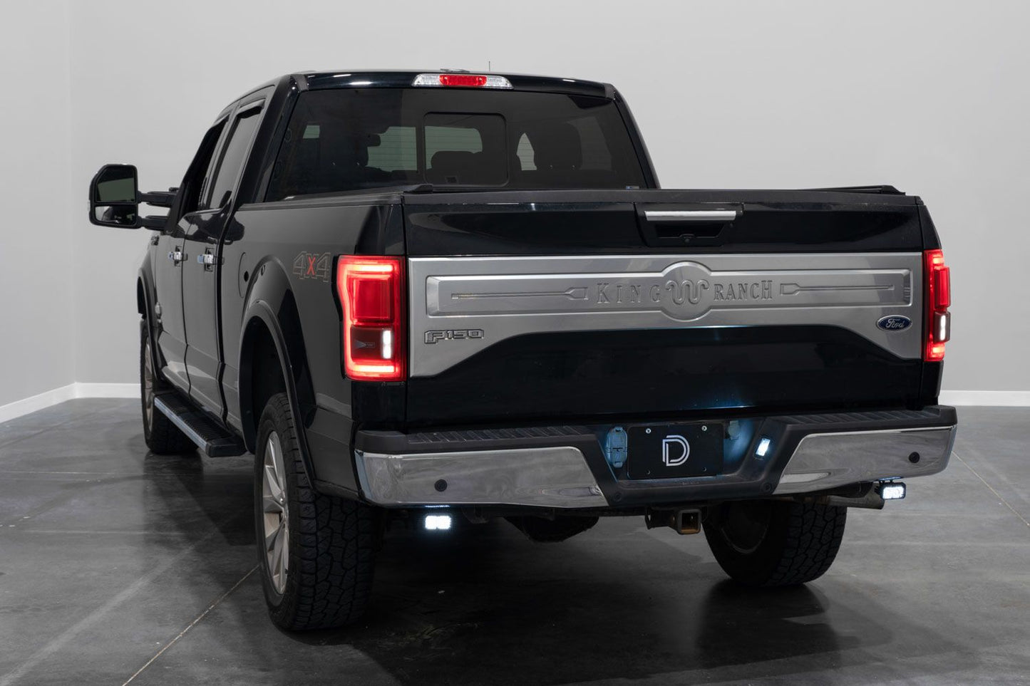 2018-2020 Ford F-150 (Excluding Raptor) Rear Diode Dynamics SS2 Series Reverse Light Kit (No Drill) Red Backlight Rear LED