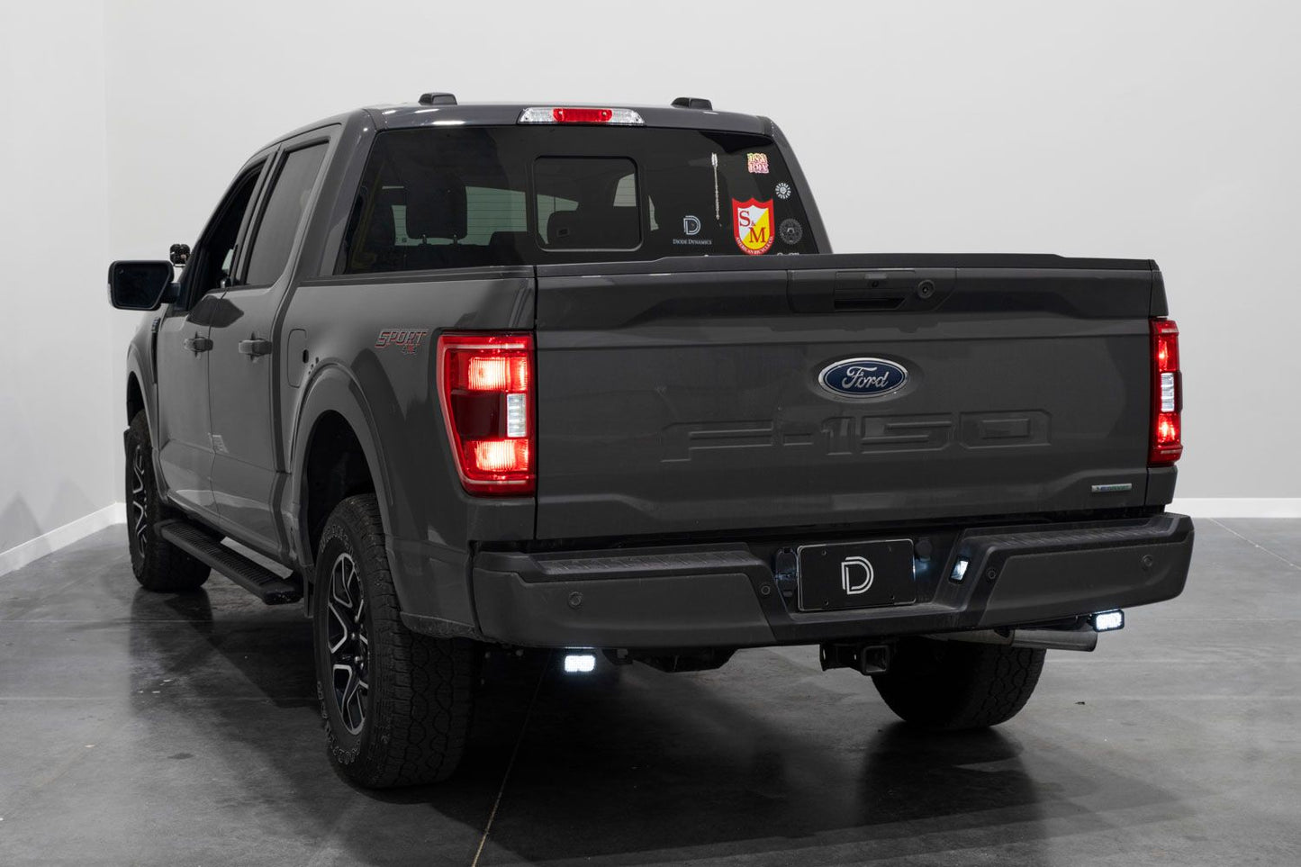 SPV Parts 2021-2025 Ford F-150 (Excluding Raptor) Rear Diode Dynamics SS2 Series Reverse Light Kit (No Drill) Red Backlight Rear LED