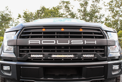 Clearance - SPV Parts 2015-2020 Roush F-150 Grille Graphics