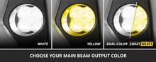 SS3 Dual-Color LED Pod (single or pair)